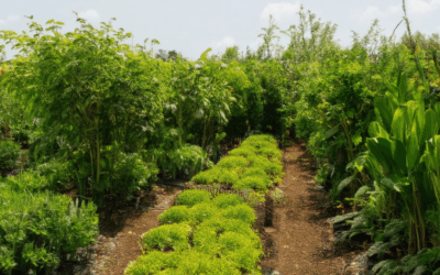 10 Essential Sustainable Gardening Tips for Every Green Thumb